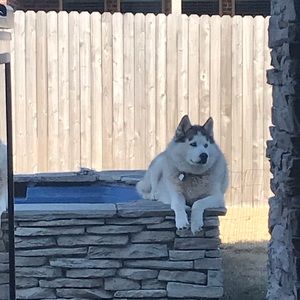 Meet your Posher, William